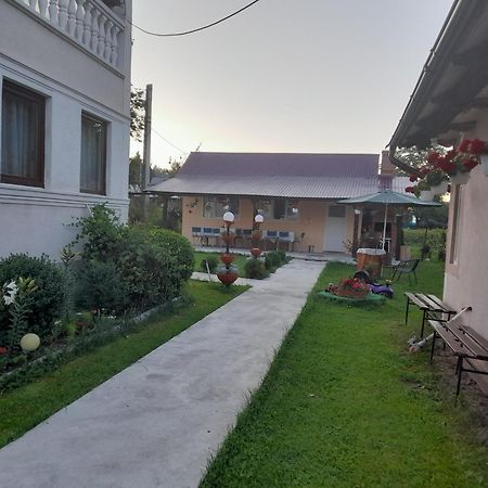 Casa Ionescu Hotel Sadova  Bagian luar foto