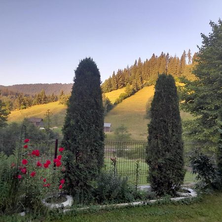 Casa Ionescu Hotel Sadova  Bagian luar foto