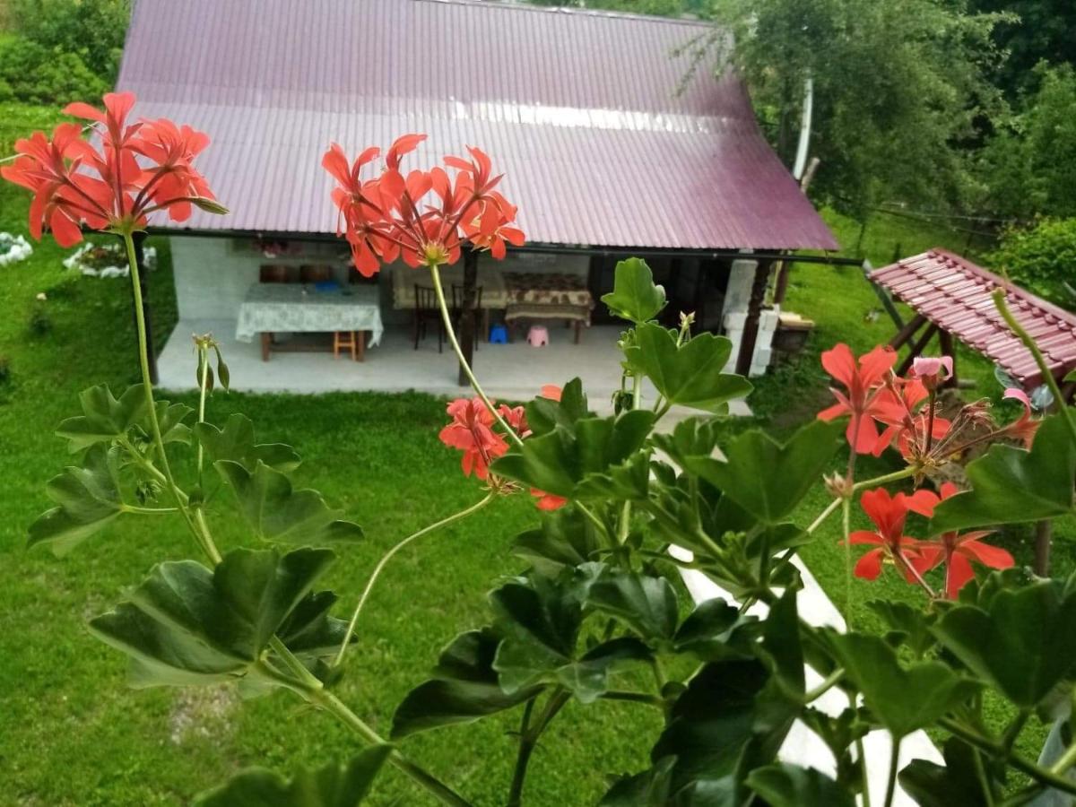Casa Ionescu Hotel Sadova  Bagian luar foto