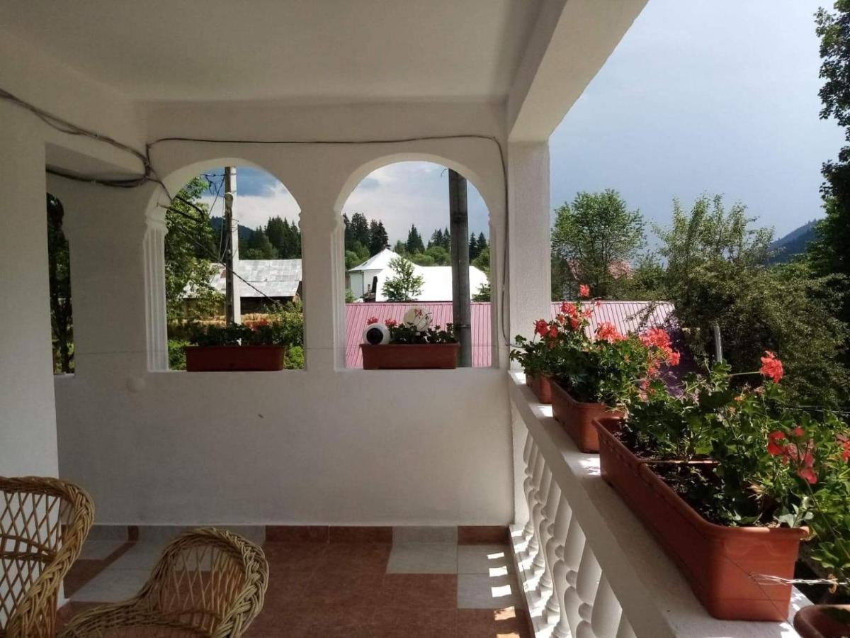Casa Ionescu Hotel Sadova  Bagian luar foto