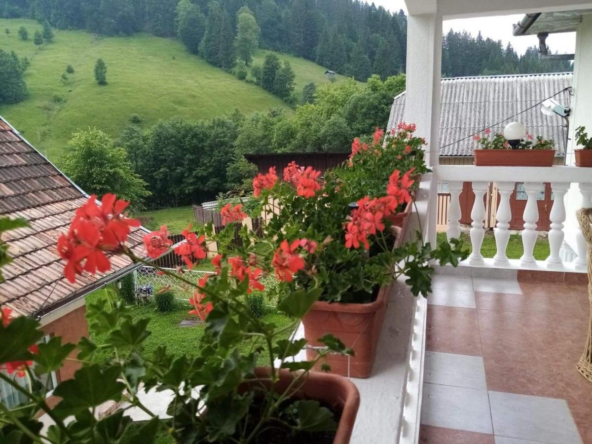 Casa Ionescu Hotel Sadova  Bagian luar foto