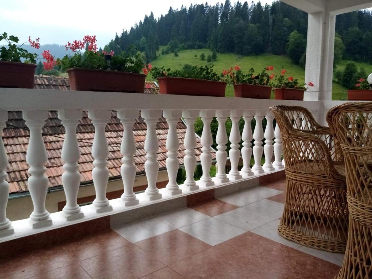 Casa Ionescu Hotel Sadova  Bagian luar foto