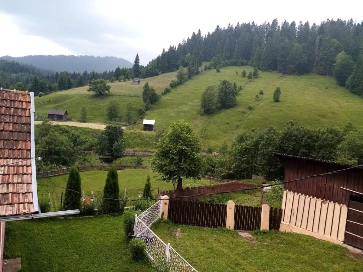 Casa Ionescu Hotel Sadova  Bagian luar foto