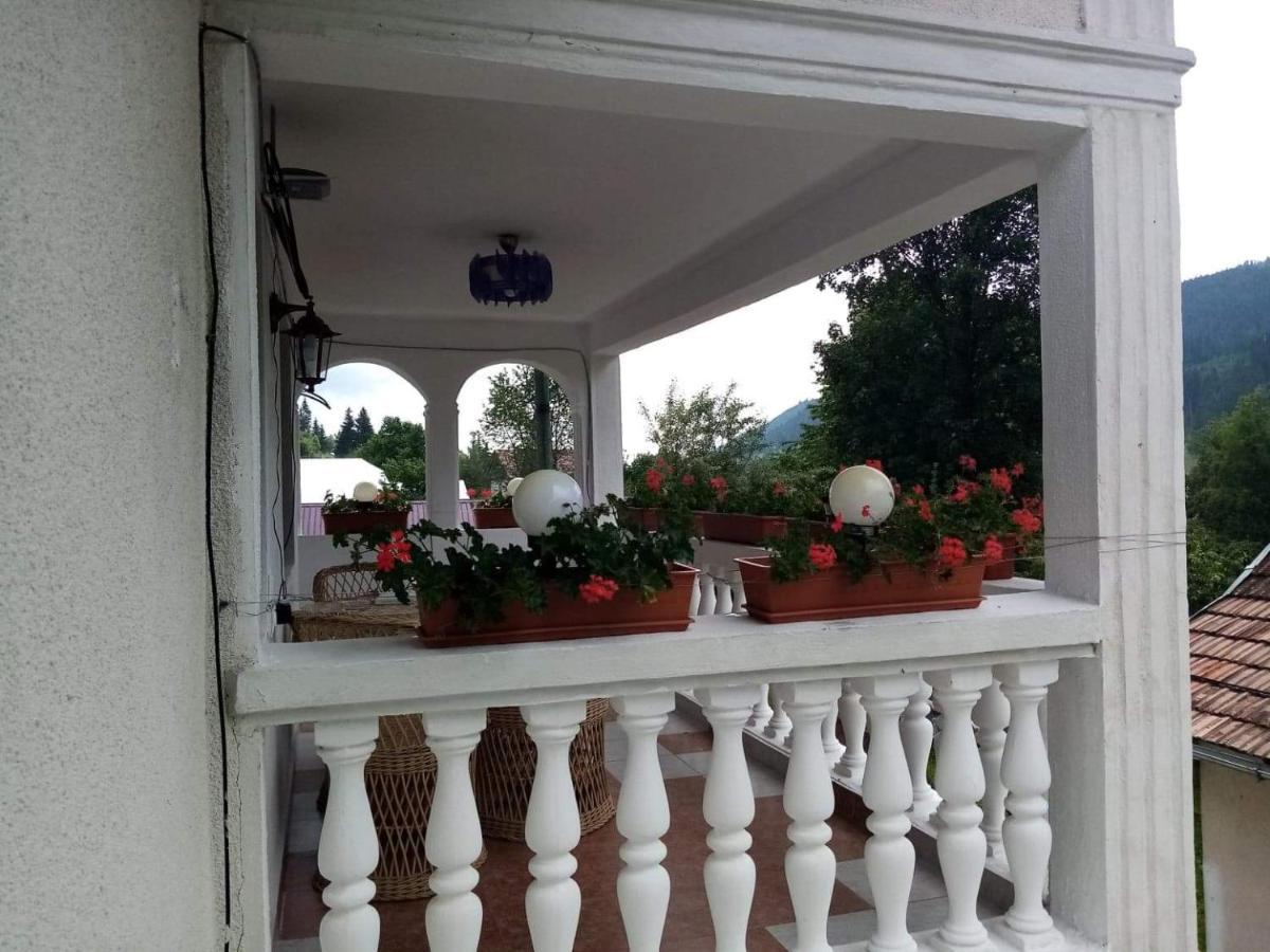 Casa Ionescu Hotel Sadova  Bagian luar foto