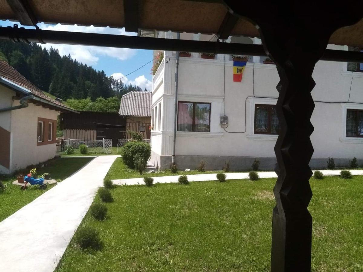 Casa Ionescu Hotel Sadova  Bagian luar foto