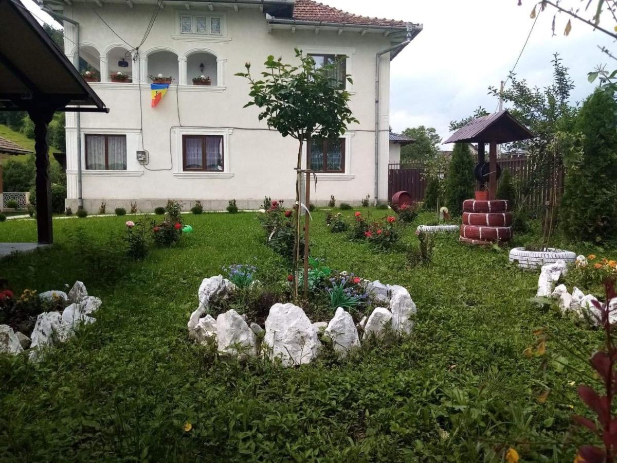 Casa Ionescu Hotel Sadova  Bagian luar foto