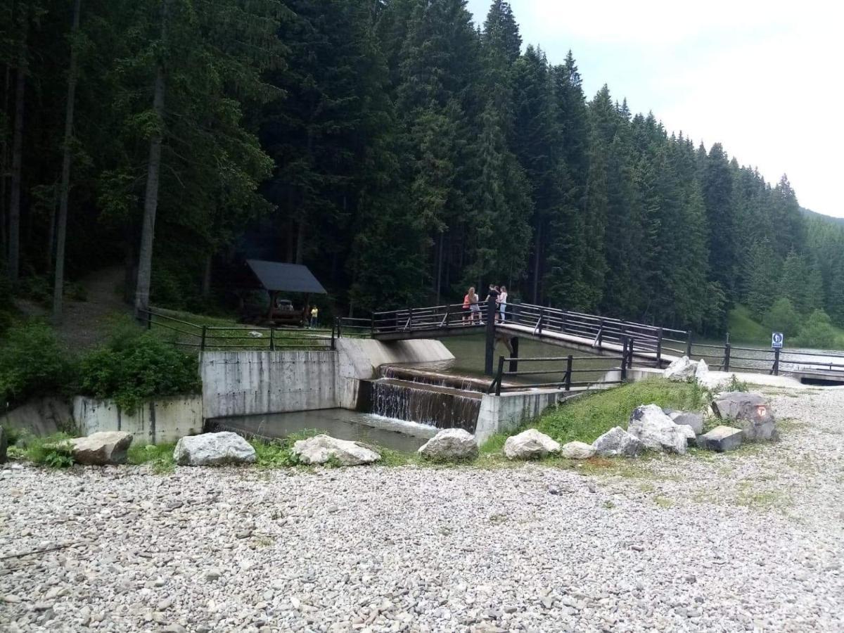 Casa Ionescu Hotel Sadova  Bagian luar foto
