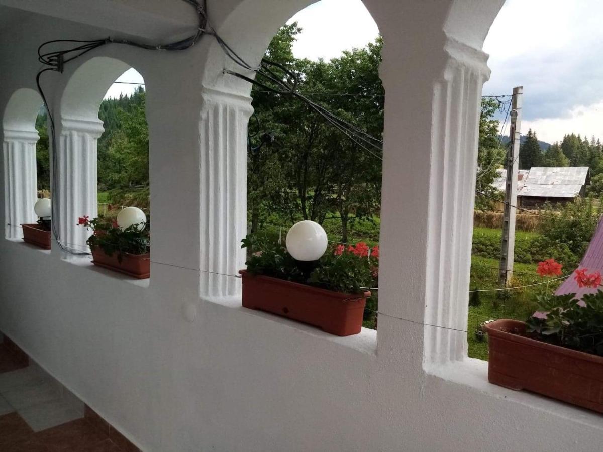Casa Ionescu Hotel Sadova  Bagian luar foto