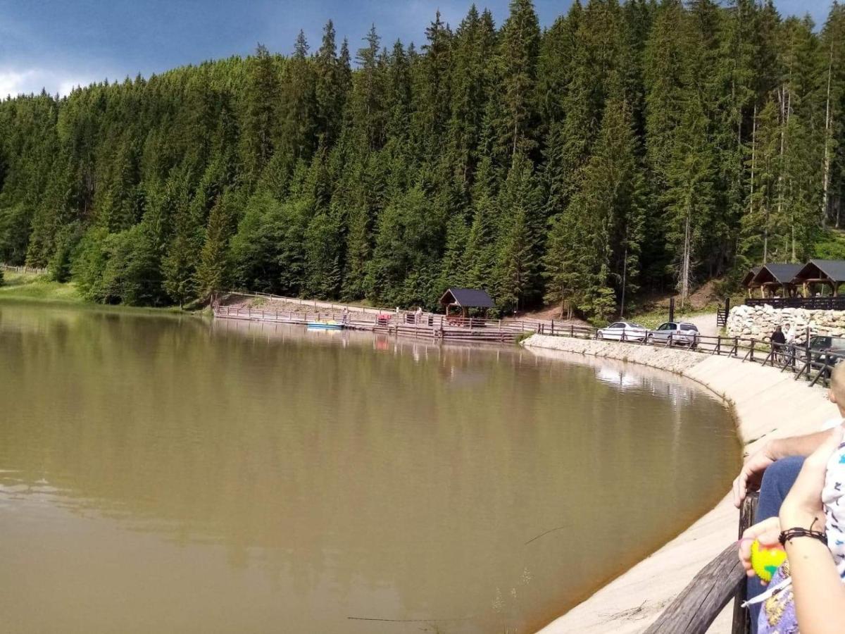Casa Ionescu Hotel Sadova  Bagian luar foto