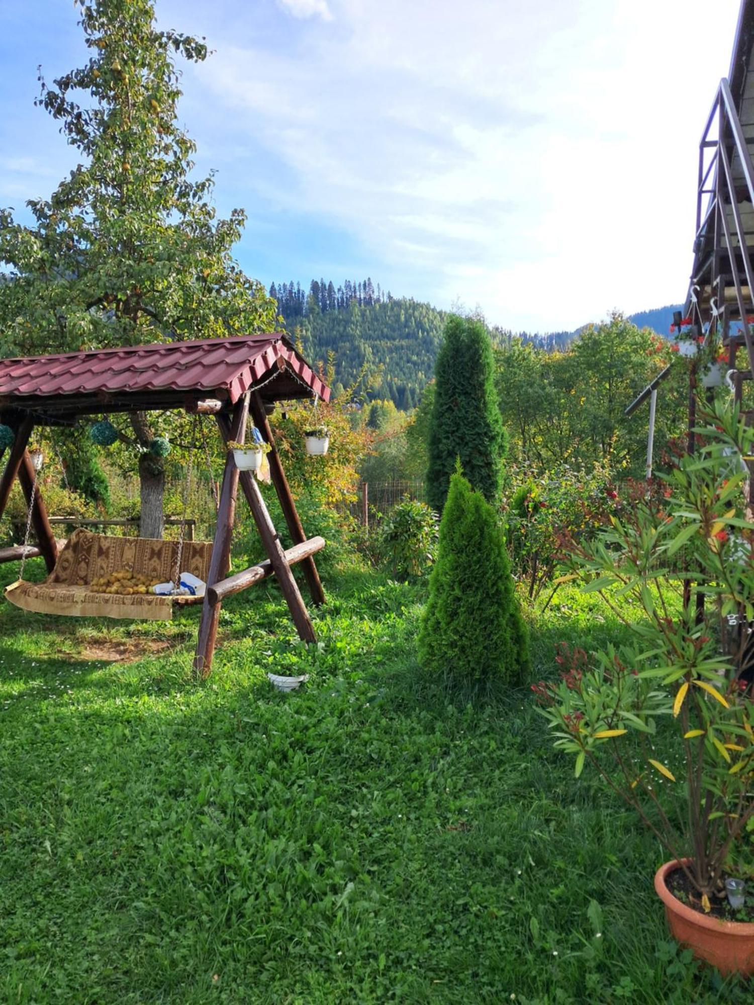Casa Ionescu Hotel Sadova  Ruang foto