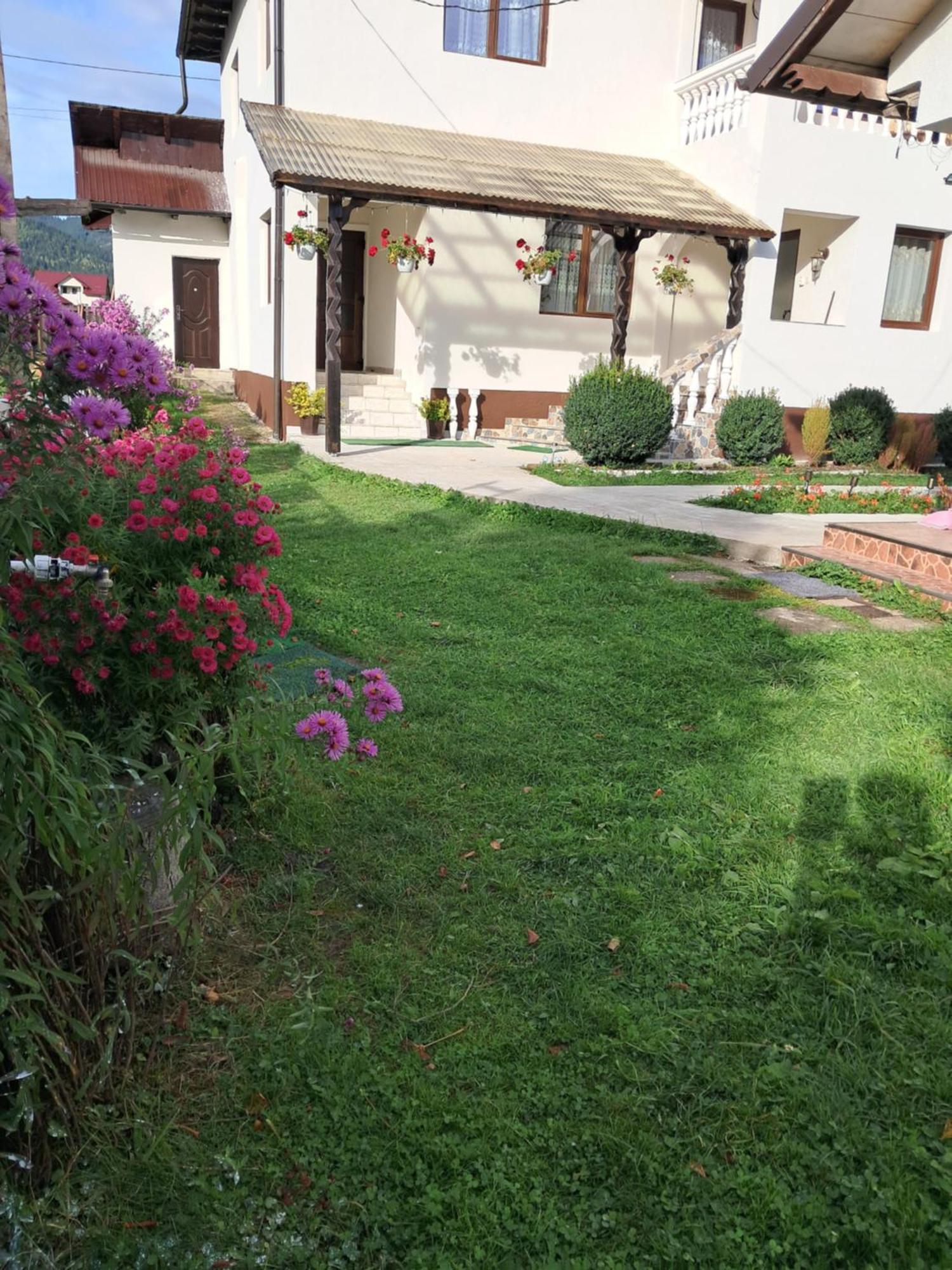 Casa Ionescu Hotel Sadova  Ruang foto