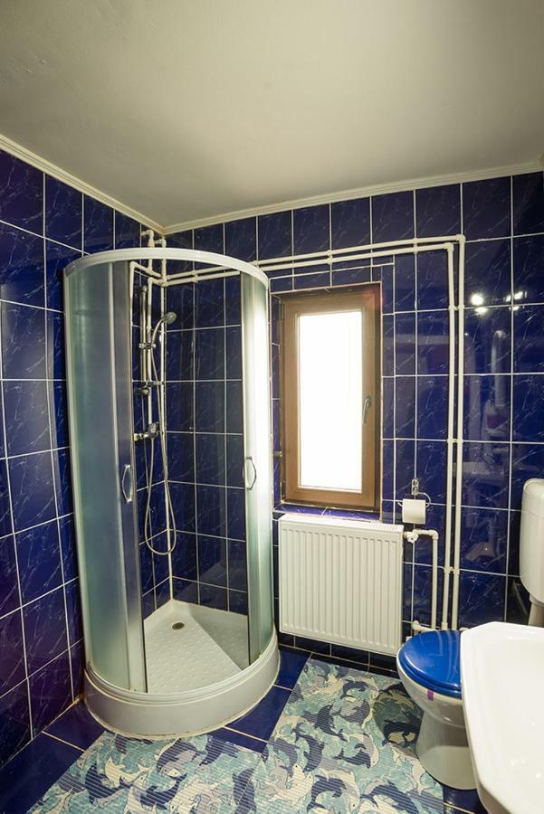 Casa Ionescu Hotel Sadova  Bagian luar foto