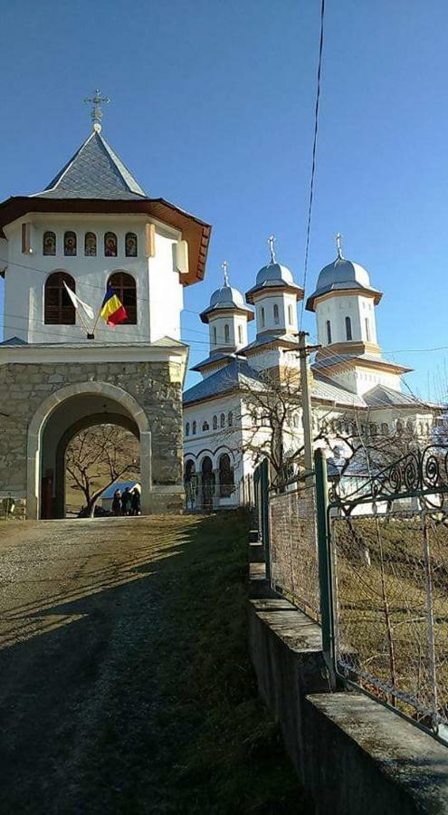 Casa Ionescu Hotel Sadova  Bagian luar foto