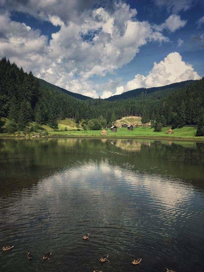 Casa Ionescu Hotel Sadova  Bagian luar foto
