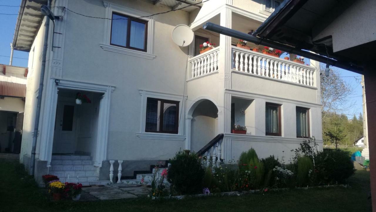 Casa Ionescu Hotel Sadova  Bagian luar foto