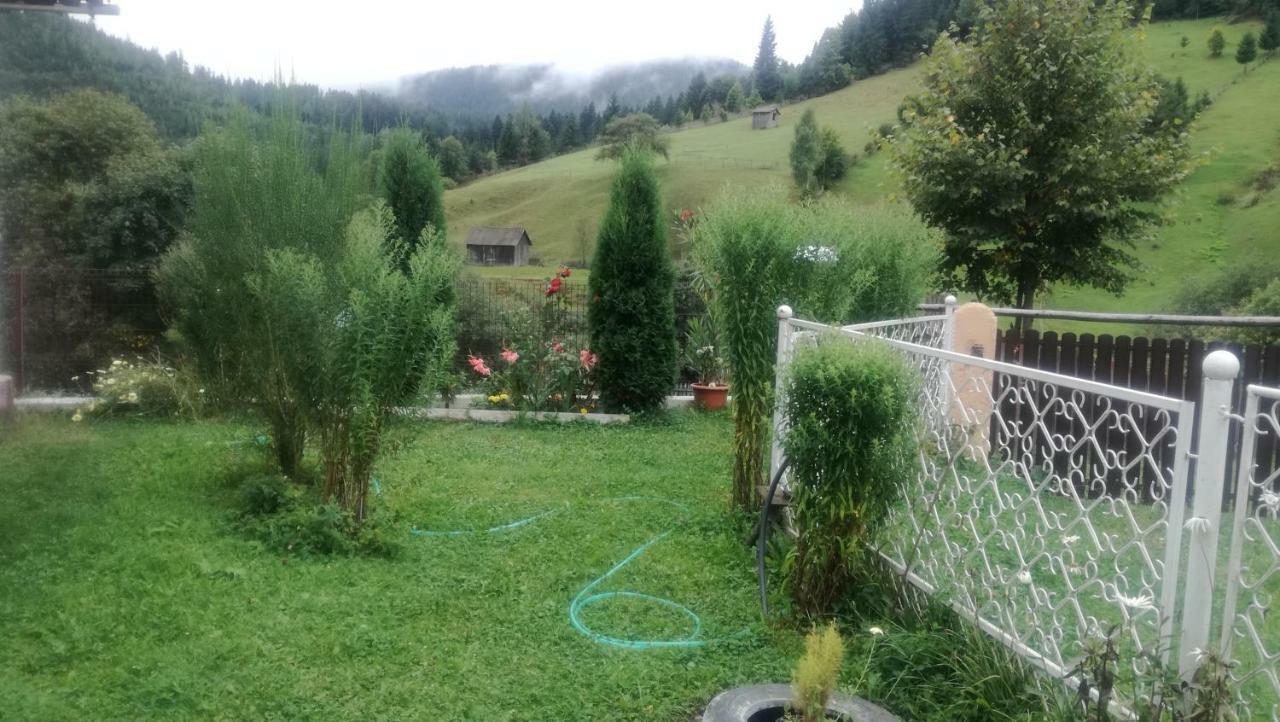 Casa Ionescu Hotel Sadova  Bagian luar foto